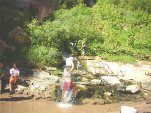 Vesey's before the fall