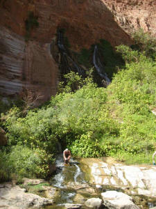 Rebecca at Vesey's Paradise