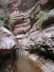 Saddle Canyon