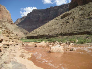 Brown water in the Little Colorado