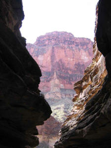 Looking out of Blacktail