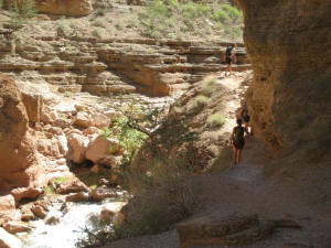 Havasu trail